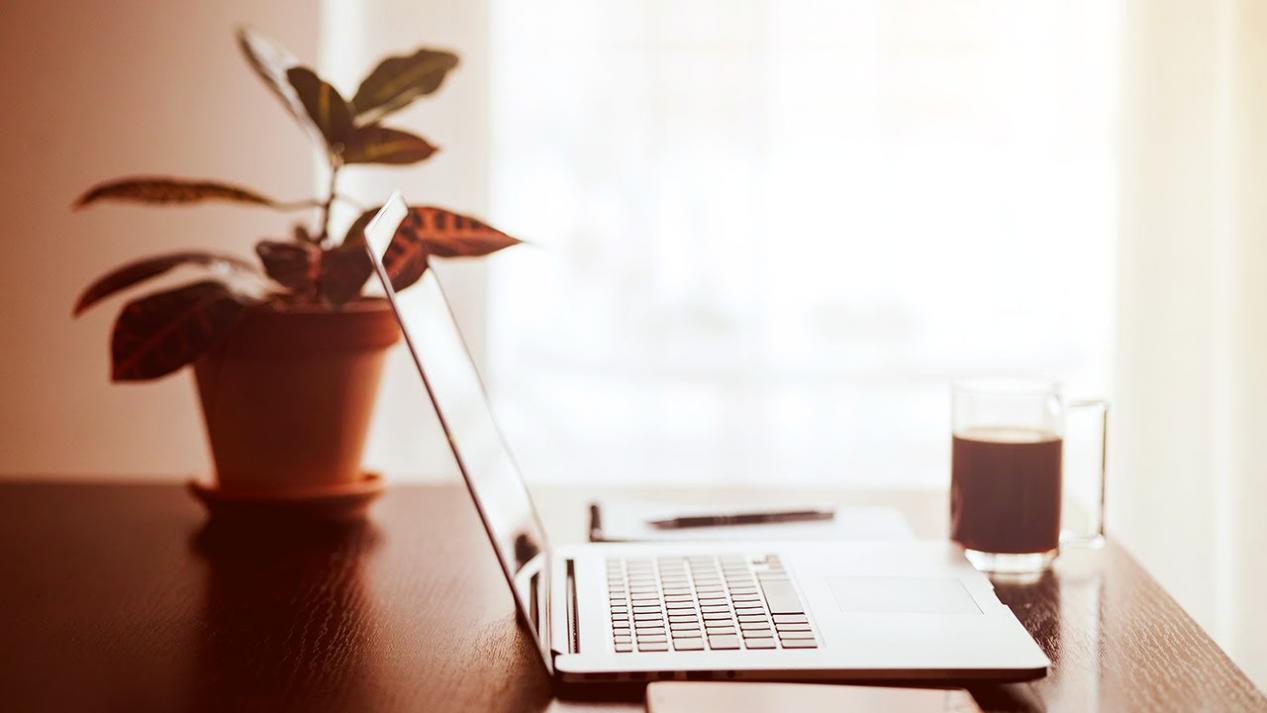 Interaktive Lernumgebung für Web-Entwicklung